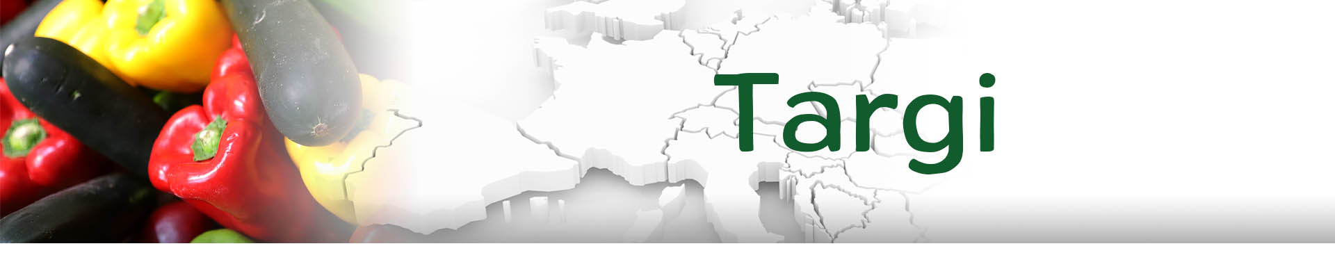 Targi