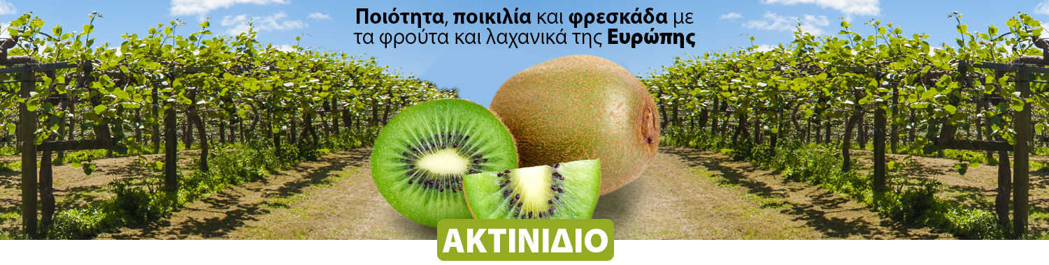 Ακτινιδιο